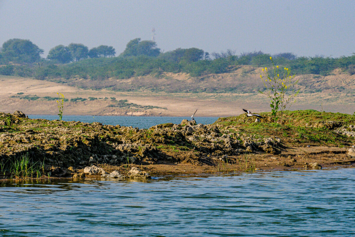 У реки Чамбал - Георгий А У реки Чамбал - Георгий А