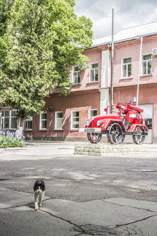 Кошак & пожарная карета в погожий денёк - Коля Лукашов