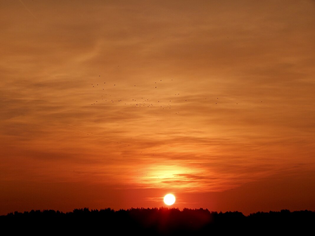 Закат - Сергей Швечков