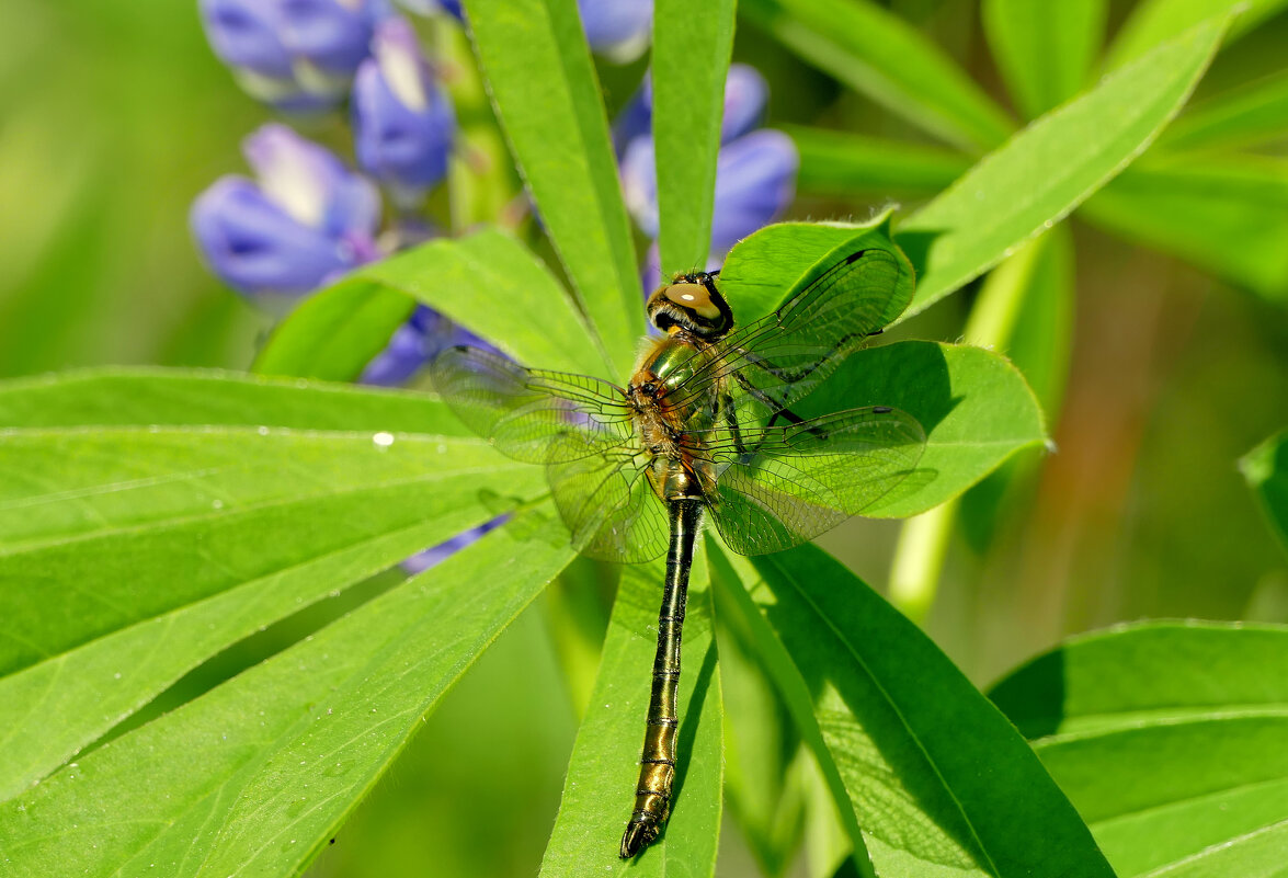 из вчерашней съемки 3 - Александр Прокудин из вчерашней съемки 3 - Александр Прокудин