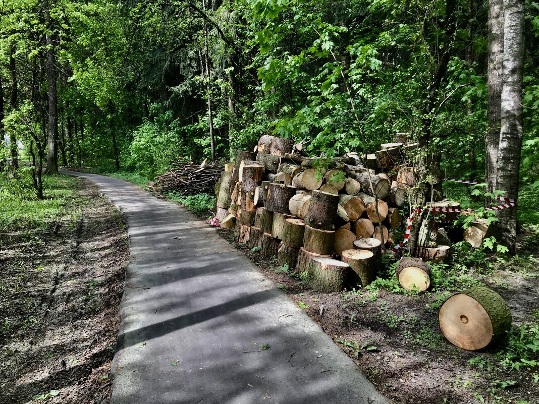 Последствия урагана - Любовь 