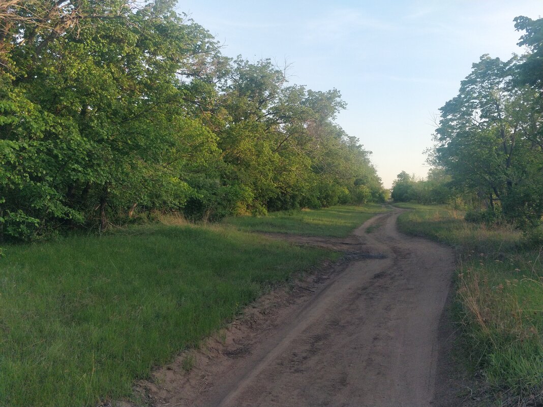 Лесная дорога - Андрей Хлопонин