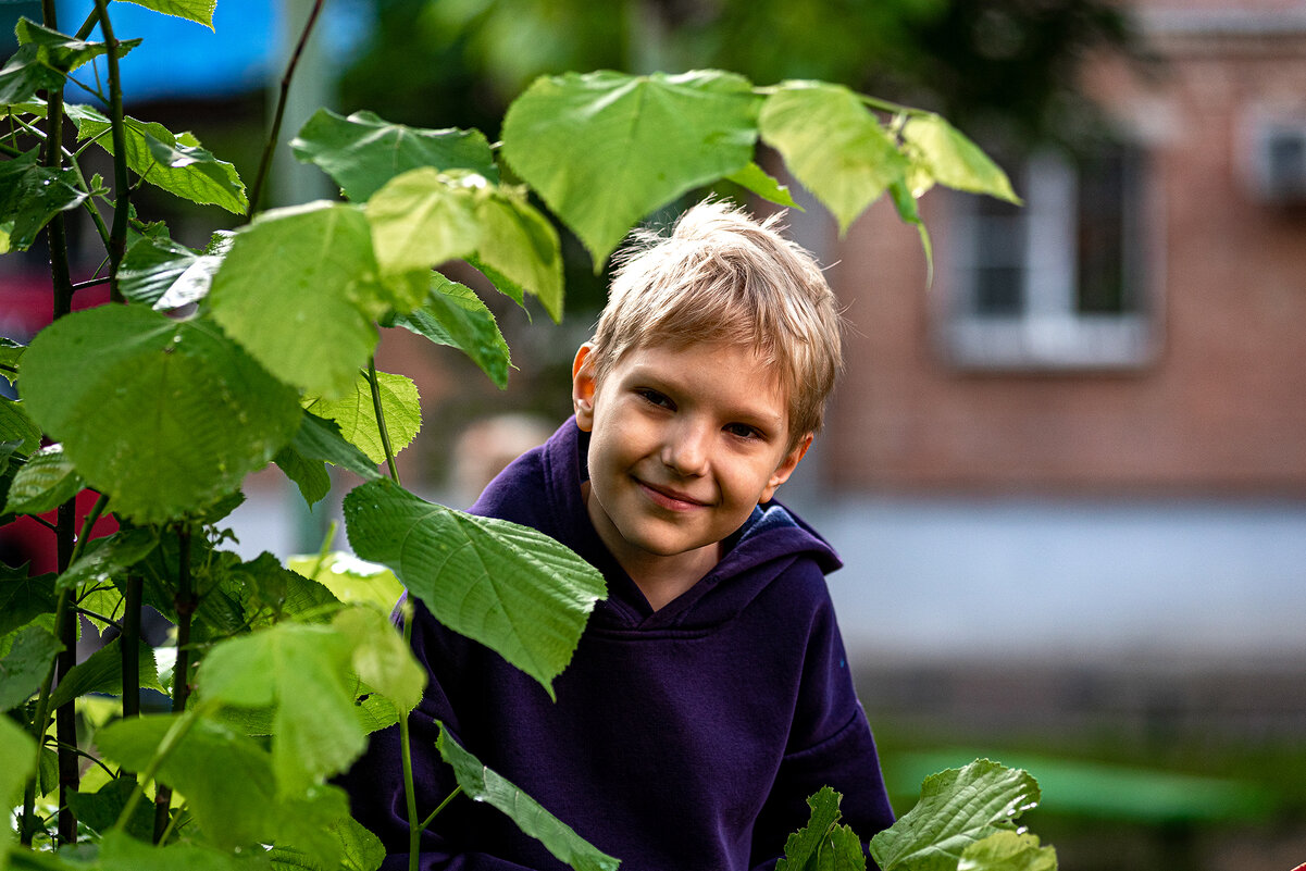 ... - Вадим Федотов 