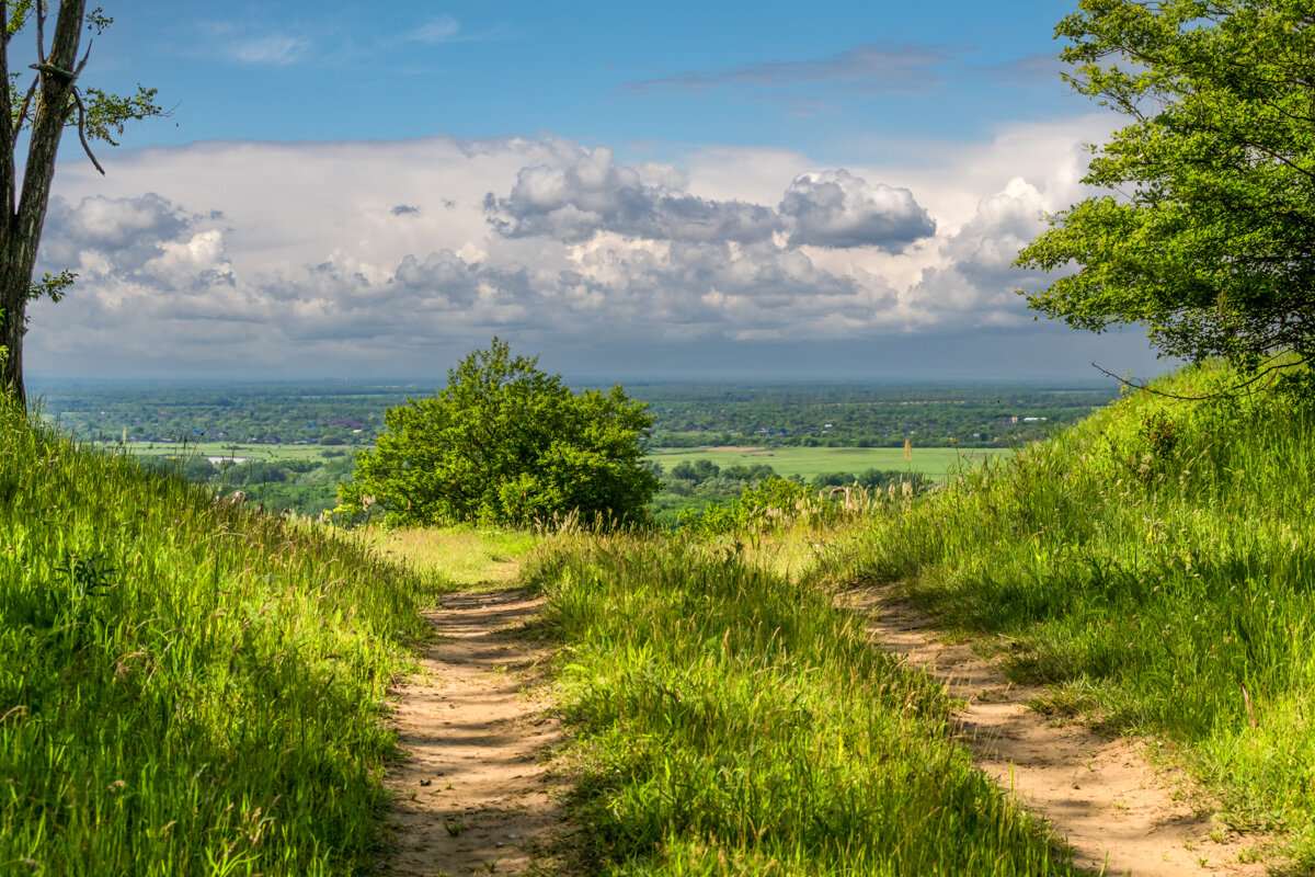 Кубань - Игорь Сикорский Кубань - Игорь Сикорский
