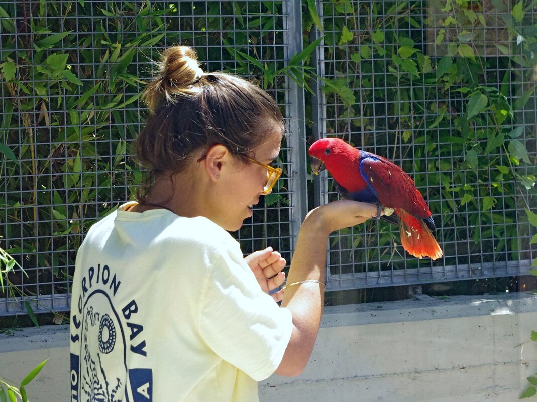 Ну что еще расскажешь, пока меня не было? - Сергей Швечков