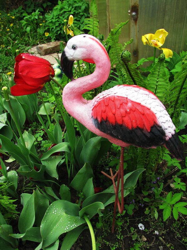 В саду - Людмила Смородинская В саду - Людмила Смородинская