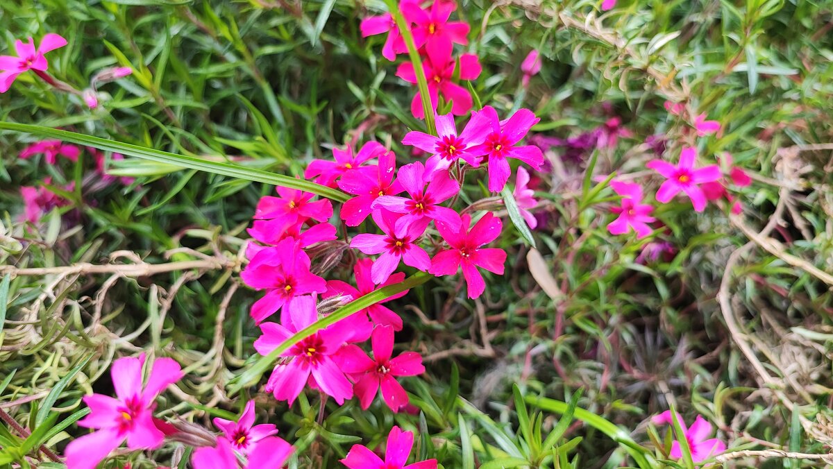 ,,, - Сергей Тимоновский