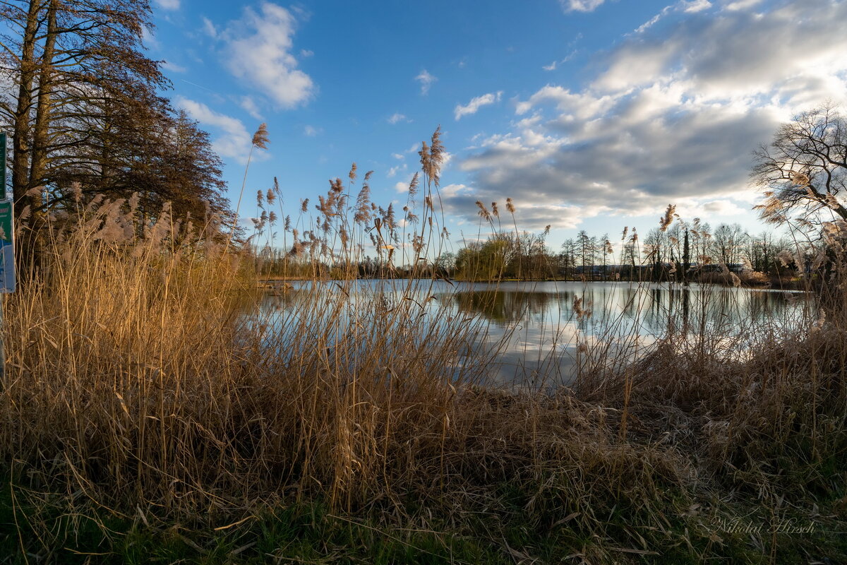 Вокруг озера... - Николай Гирш