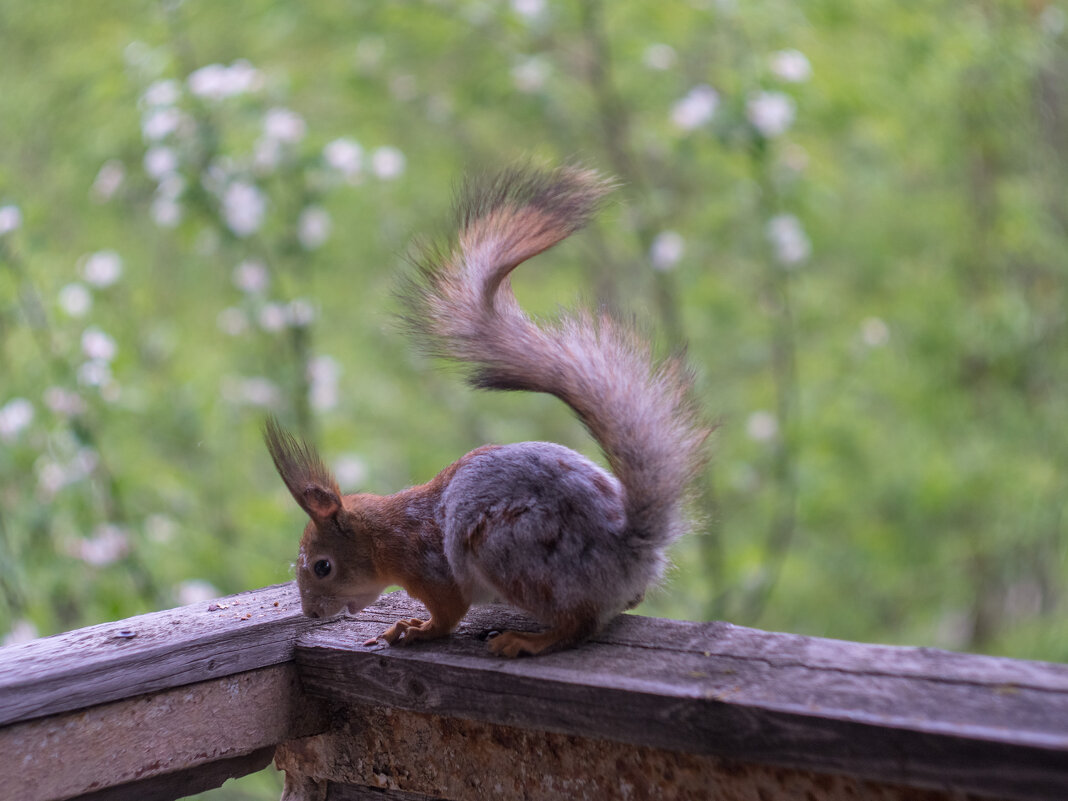 ___ - Yuriy V ___ - Yuriy V