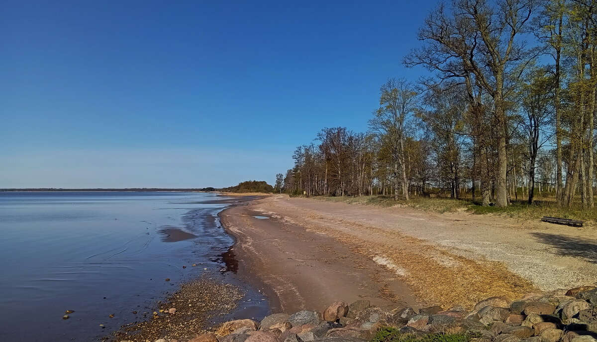 Утренние прогулки.. - Татьян@ Ивановна