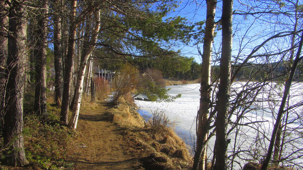 Весна на севере. - Галина Полина Весна на севере. - Галина Полина
