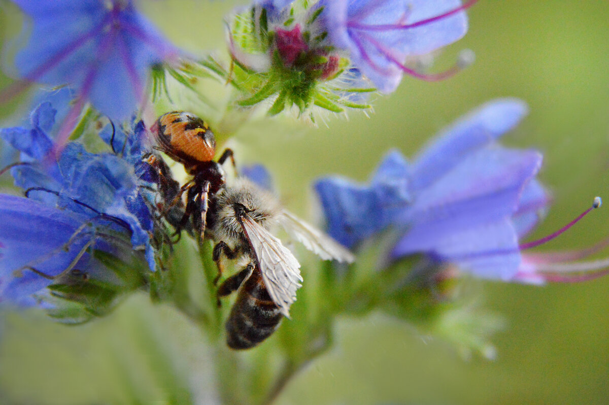 ...удачная охота... - Надежда Куркина ...удачная охота... - Надежда Куркина