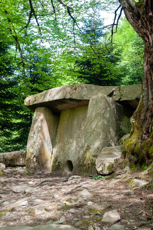 Биосферный заповедник Гузерипль - Виктор Скаков Биосферный заповедник Гузерипль - Виктор Скаков