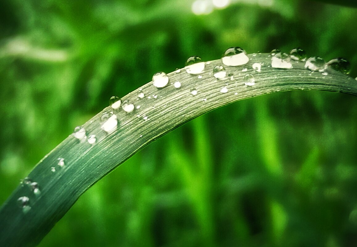 Игры бусинок дождя - veilins veilins