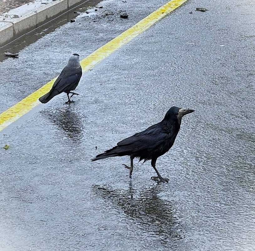 Мы с вами незнакомы - Мария - Maria Мы с вами незнакомы - Мария - Maria