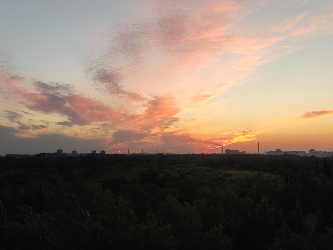 буйство красок - Андрей Петренко