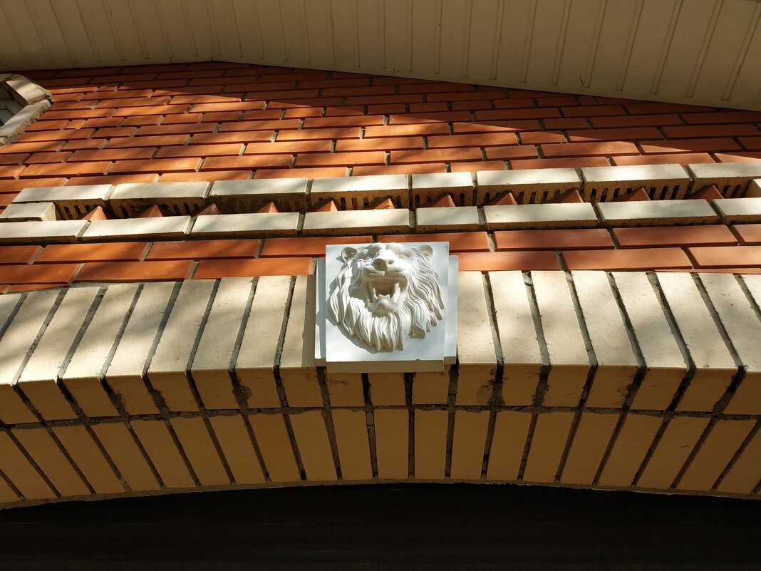 Лев, которого я давно люблю - Андрей Лукьянов Лев, которого я давно люблю - Андрей Лукьянов