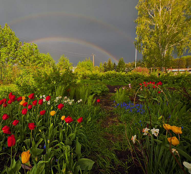 Сад в котором растут радуги... - Владимир Хиль Сад в котором растут радуги... - Владимир Хиль