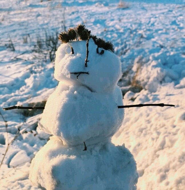 Зимой,весело - Георгиевич Зимой,весело - Георгиевич