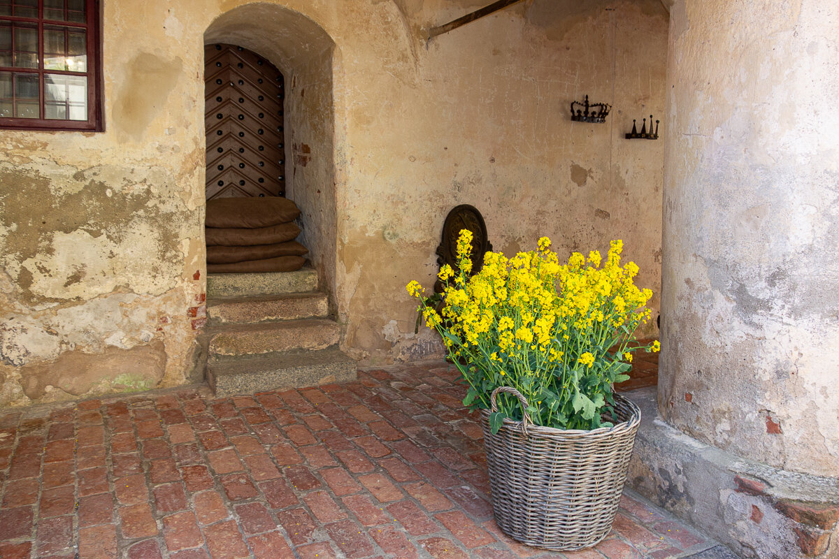 *** - Геннадий Порохов