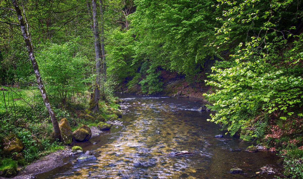 ****** - Андроник Александр 