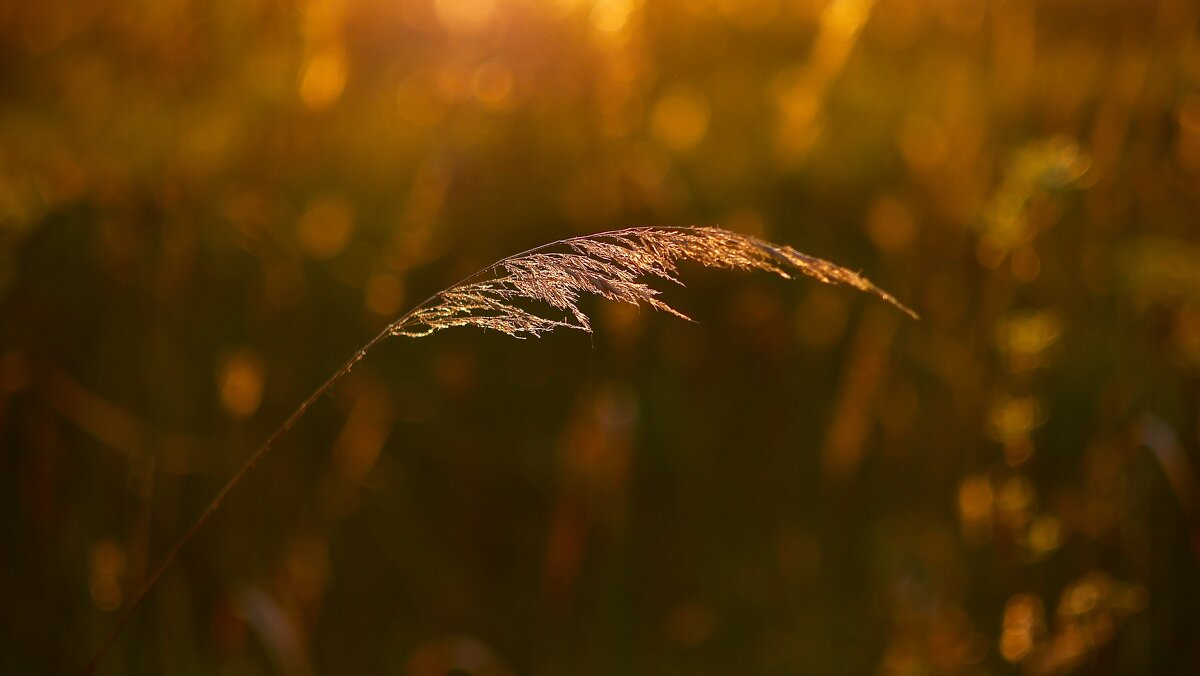 Нежно так… - Натали Королева Нежно так… - Натали Королева