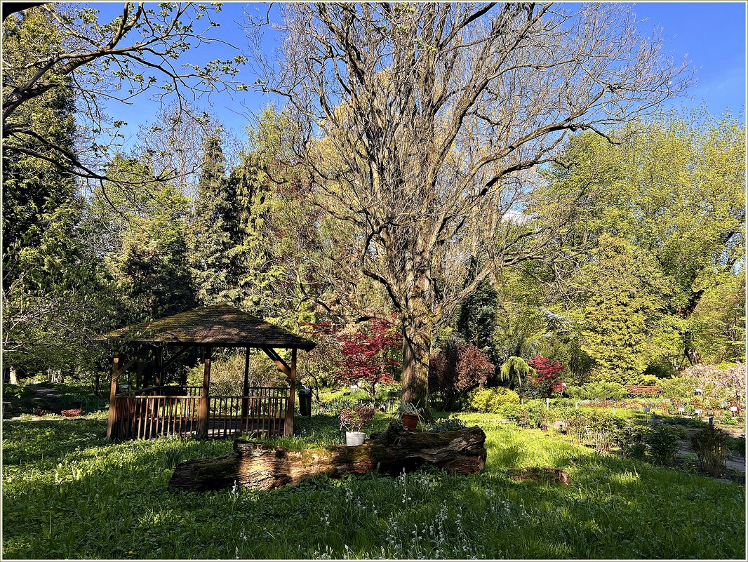 В парке. - Валерия Комова В парке. - Валерия Комова