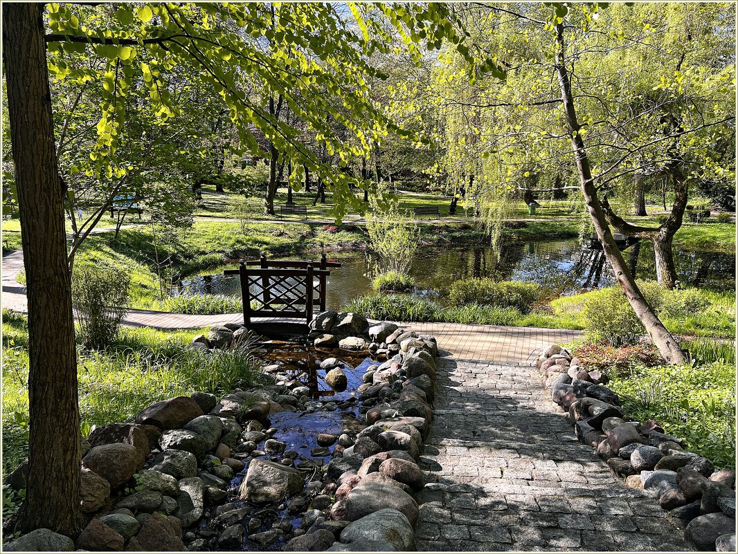 В Ландшафтном парке. - Валерия Комова