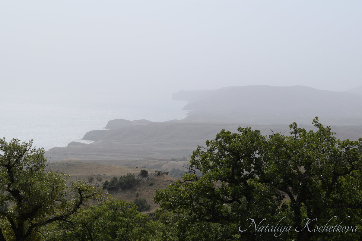 Природа Крыма - Amazing Cosmea Природа Крыма - Amazing Cosmea