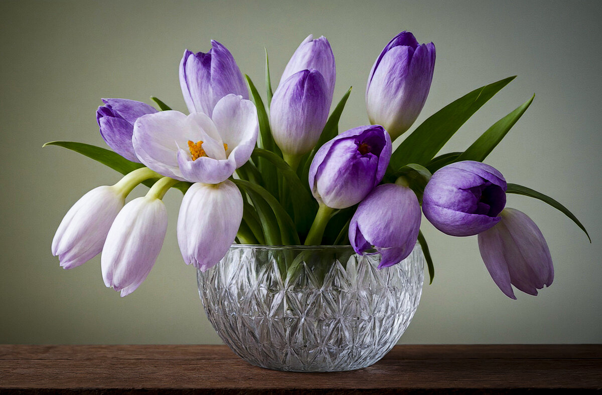 Крокусы - Aleksey Afonin