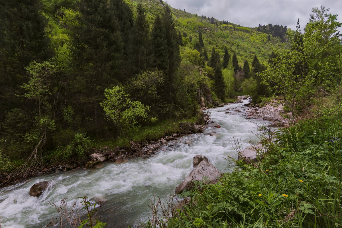 Река Талгар - LudMila Река Талгар - LudMila