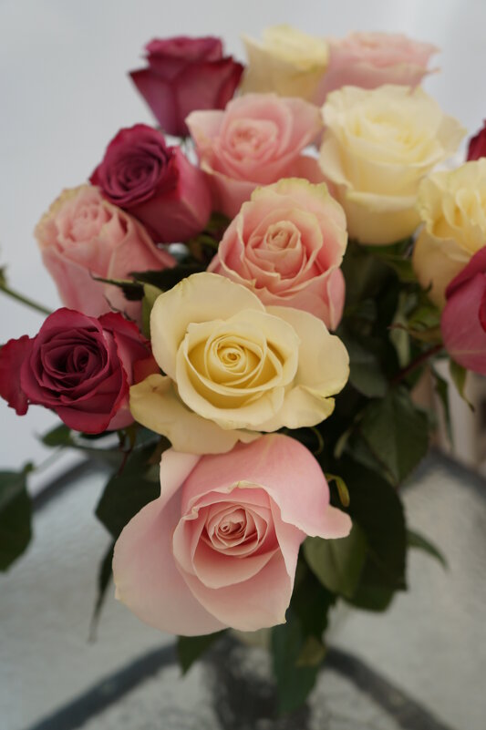 * * * * - Алёна Савина * * * * - Алёна Савина