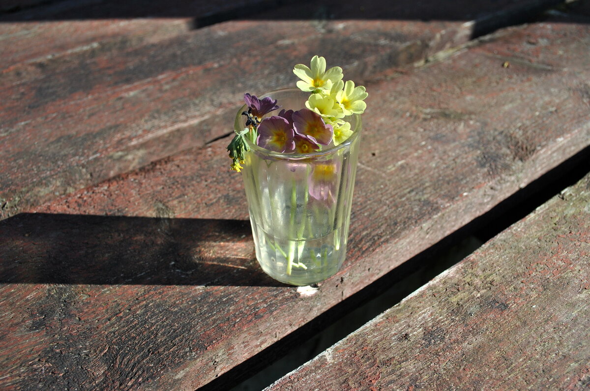 Забытый букетик - AleksSPb Лесниченко