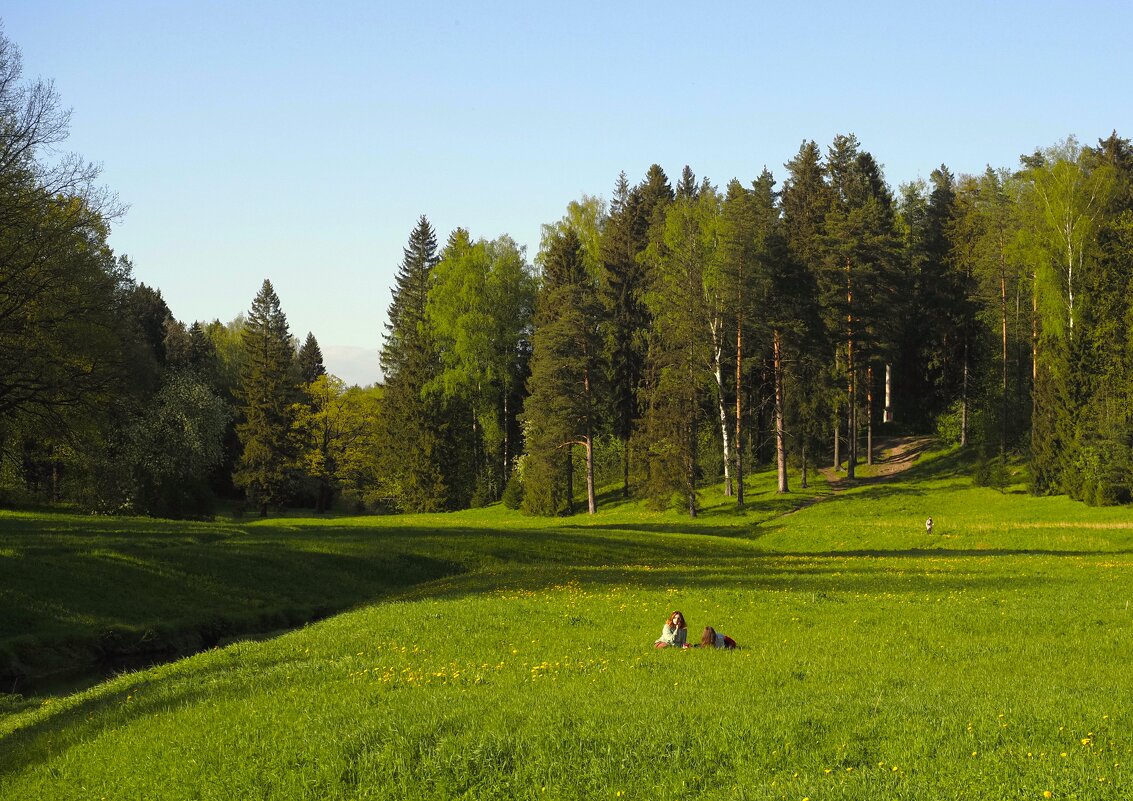 Был месяц май - Магомед .