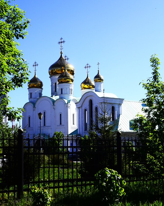 Местный храм. - Василий Палий