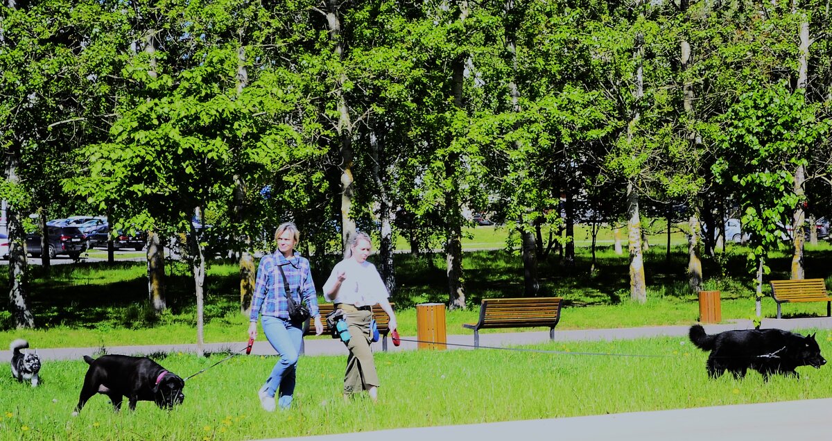 Кто кого выгуливает? - Василий Палий Кто кого выгуливает? - Василий Палий