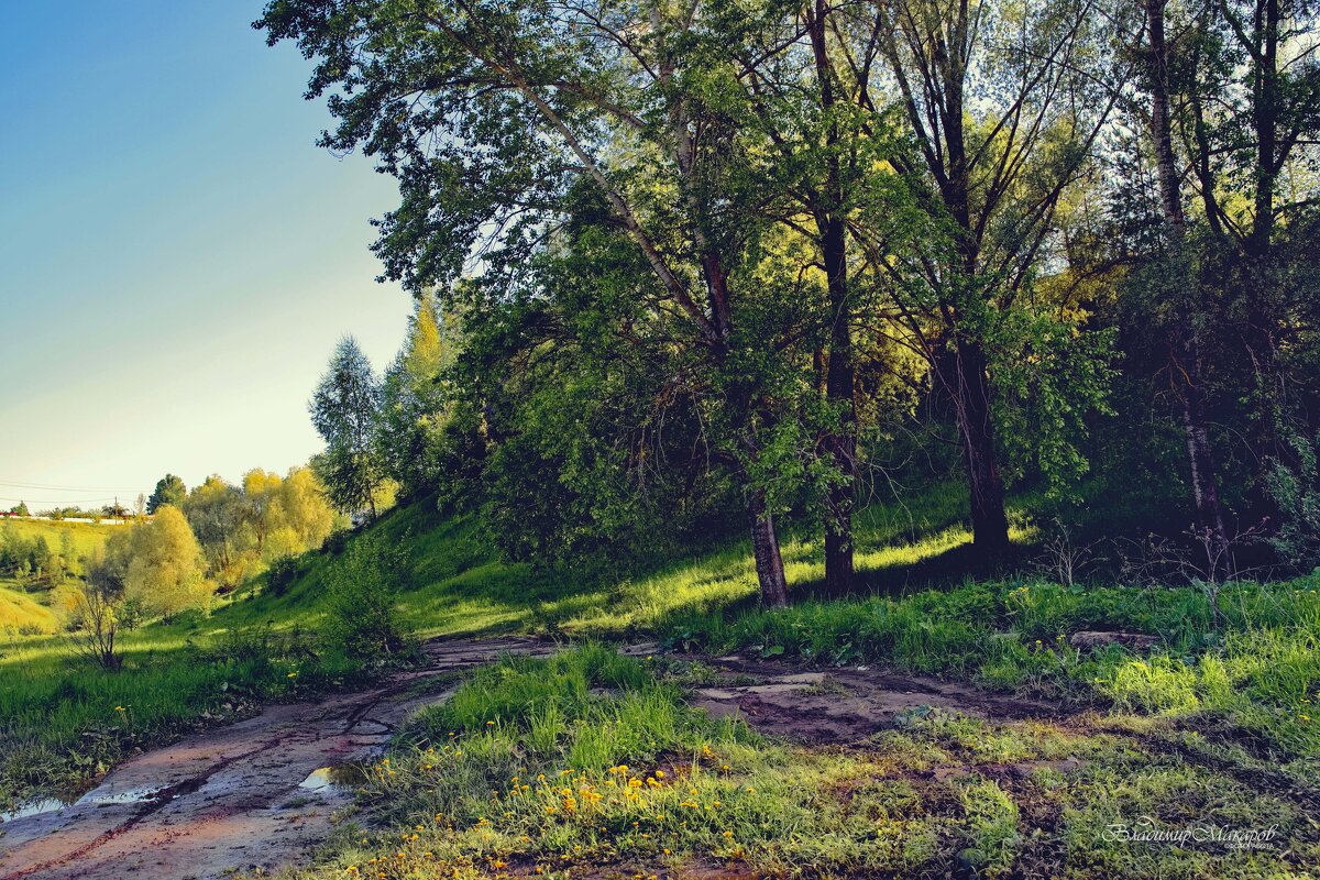"После майского дождя. Накануне лета"© - Владимир Макаров "После майского дождя. Накануне лета"© - Владимир Макаров