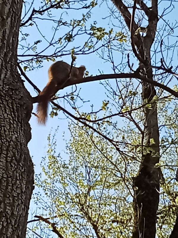Когда надоедает внимание - Виктор Когда надоедает внимание - Виктор