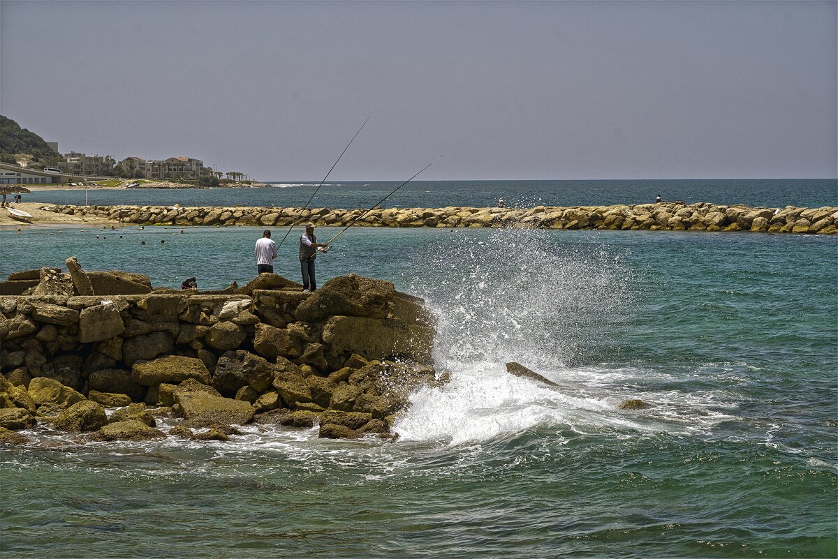 Израиль  РЫБАКИ  ,2025г, Бат-Галим ,Хайфа - ujgcvbif 