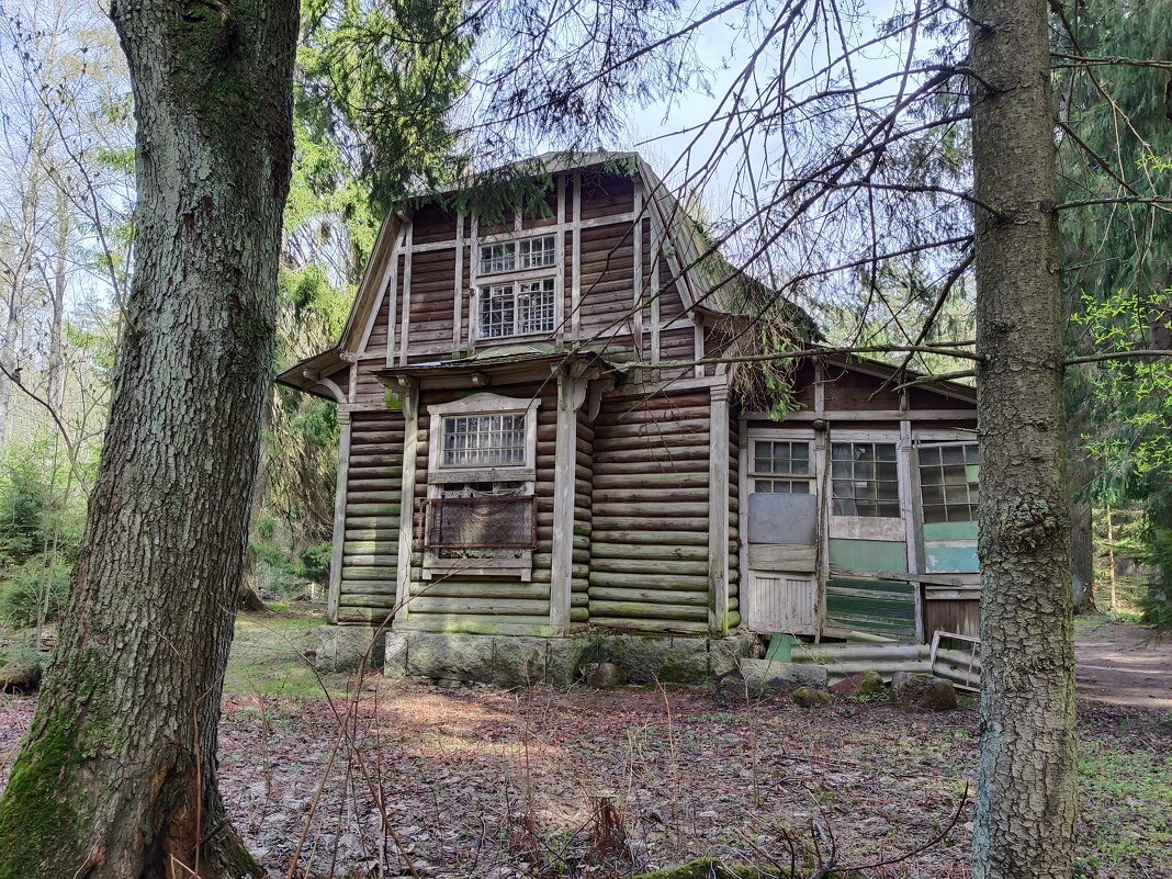 Дача Габерцетеля - Мария Васильева