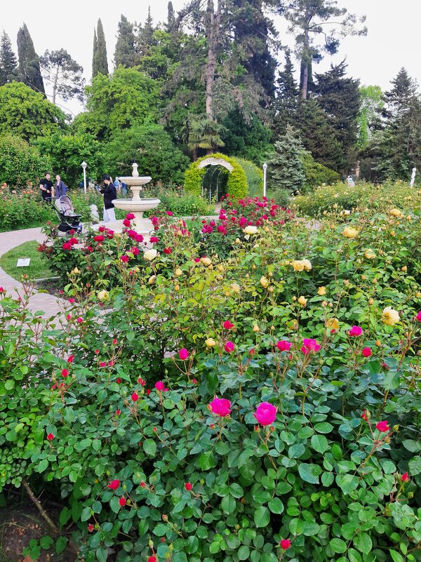 РИВЬЕРА - Tata Wolf