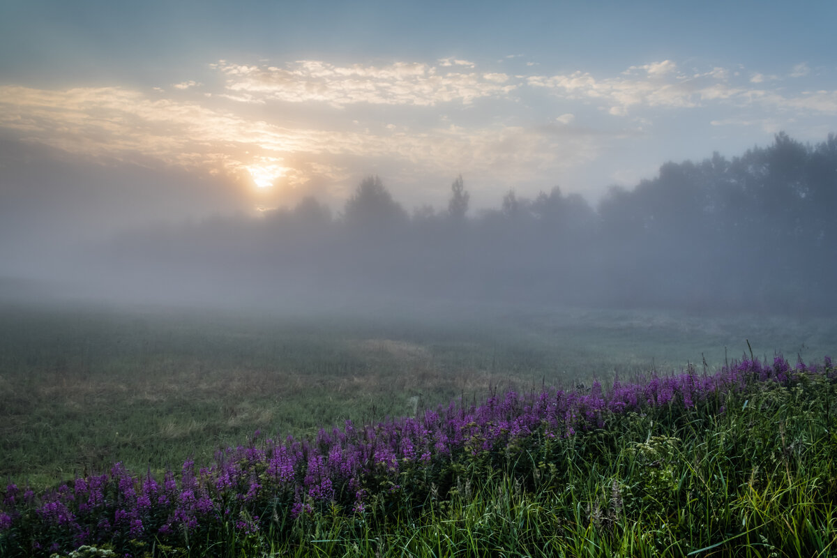 5 часов утра в июле - Игорь Викторов