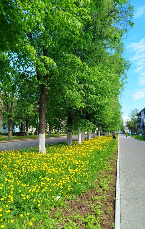 В городе еще весна - светлана льдокова