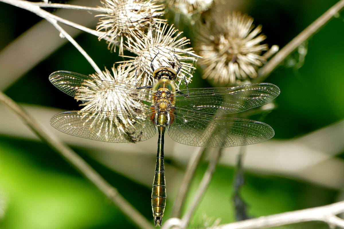 из вчерашней съемки 4 - Александр Прокудин из вчерашней съемки 4 - Александр Прокудин