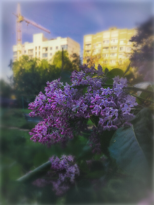 Всё строют и строют.. - AZ east3