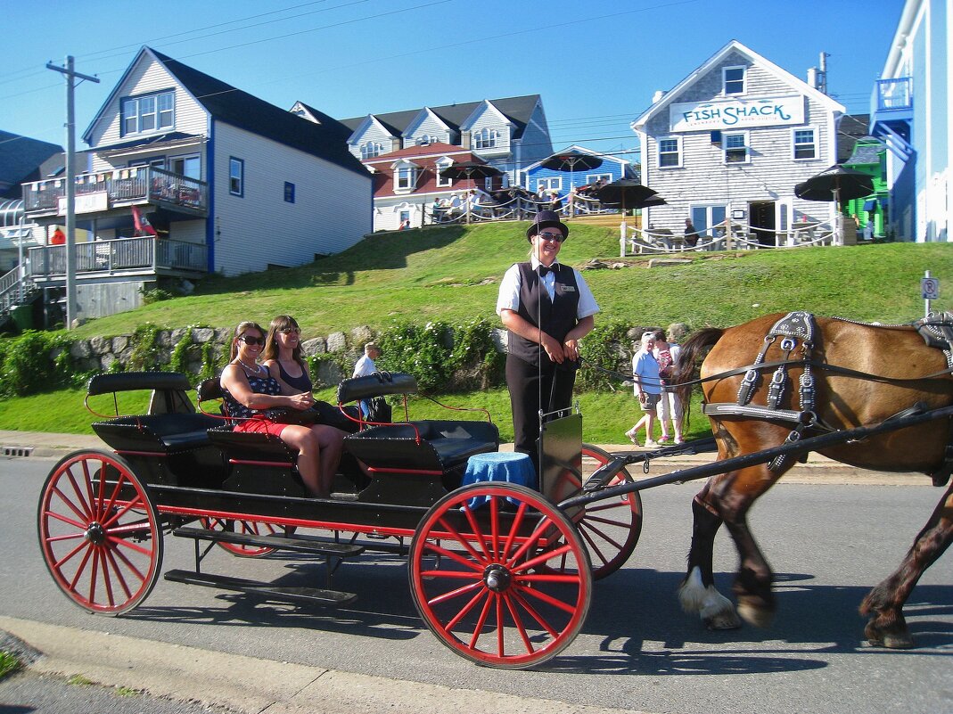 Женская карета. - unix (Илья Утропов)