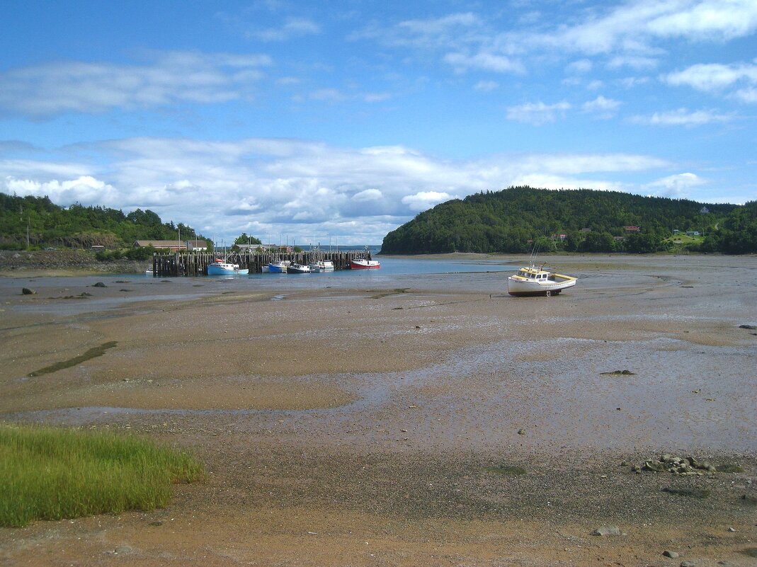 Отлив. - unix (Илья Утропов) Отлив. - unix (Илья Утропов)