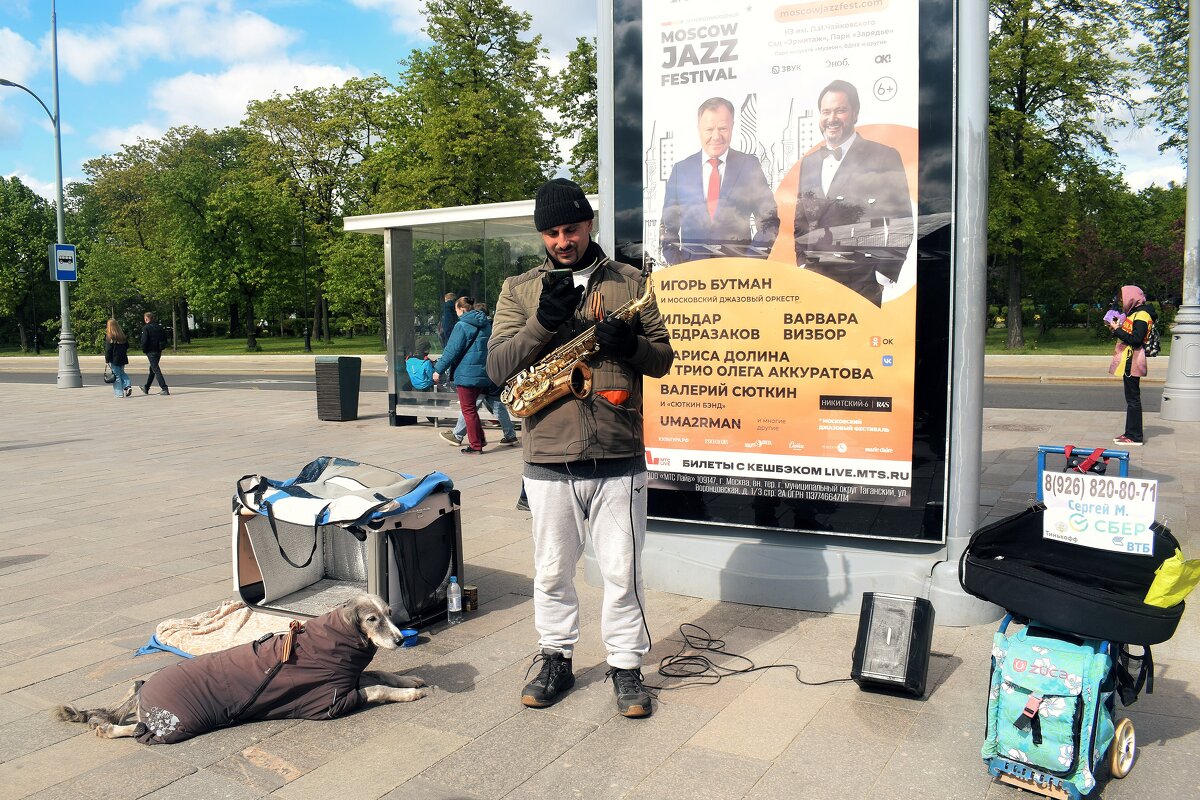 Бродячие артисты. - Татьяна Помогалова Бродячие артисты. - Татьяна Помогалова