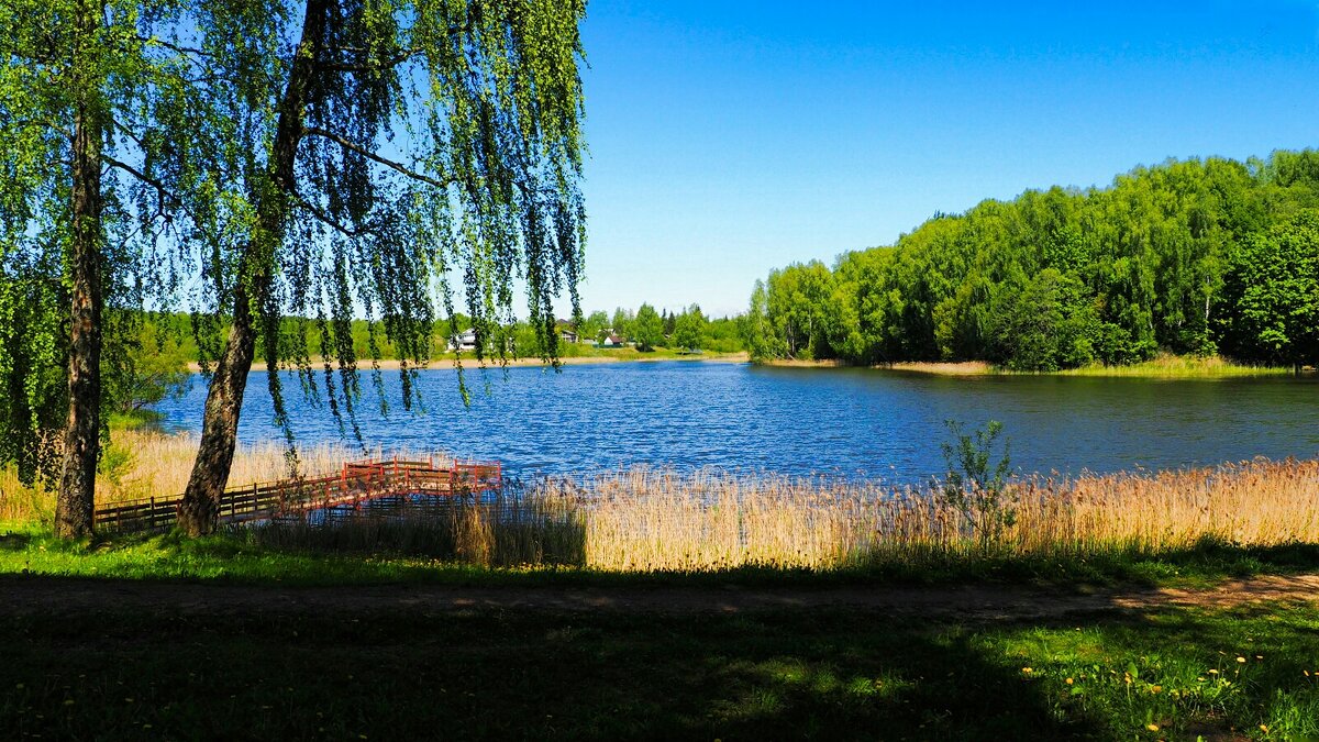 Пейзаж с озером (репортаж из поездок по области). - Милешкин Владимир Алексеевич 