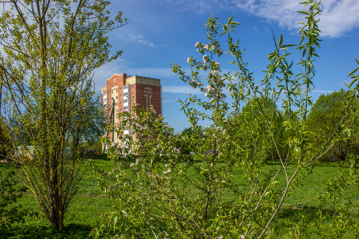 Весны цветение. - Михаил "Skipper"